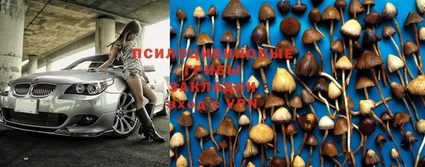 мескалин Бородино