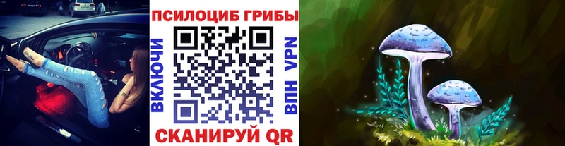 закладки Прокопьевск Псилоцибиновые грибы ЛСД